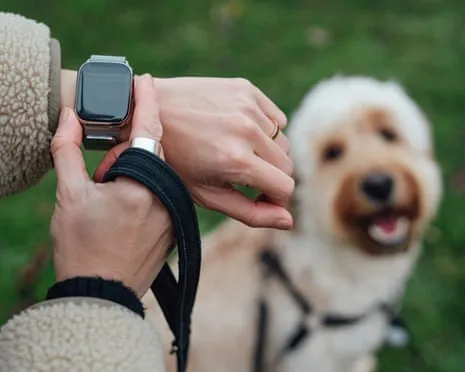 The Reality About Smartwatches? Life Feels Fuller Devoid of a Nagging Zealot on Your Arm